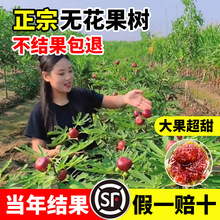 oϱļNֲͺشńΘ粨t