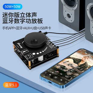 5.1�{��2*50W���ֹ��Ű�HIFI��������DIY��푸��bģ�KYS-AP50L