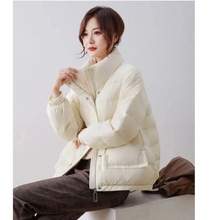��ɫ���޷���Ѽ��Ů�����ᱡС���Ӷ�װ�̿ů��������A2489