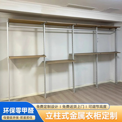 步入式衣帽间日式组合金属衣柜铝合金收纳衣架挂衣杆可调节厂家