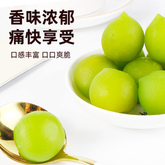 350g罐裝酸甜青口梅清脆去火梅脆青梅果爽口梅蜜餞零食超市批發