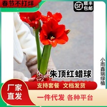 һ�����l��피tϞ��Ʒ�ذ�N���M��Ϟ��o��ˮ���B�o���˺��B��