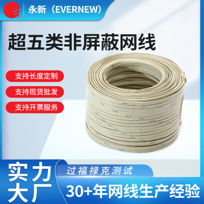 超五類非屏蔽網線 UTP CAT5E 0.5無氧銅非屏蔽網線 超五類雙絞線