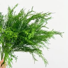 婚庆仿真花绿色系天门冬仿真绿植千层金森系婚礼堂插花挑高叶材