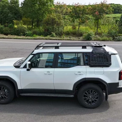 Roof rack | Platform Luggage Rack Modified