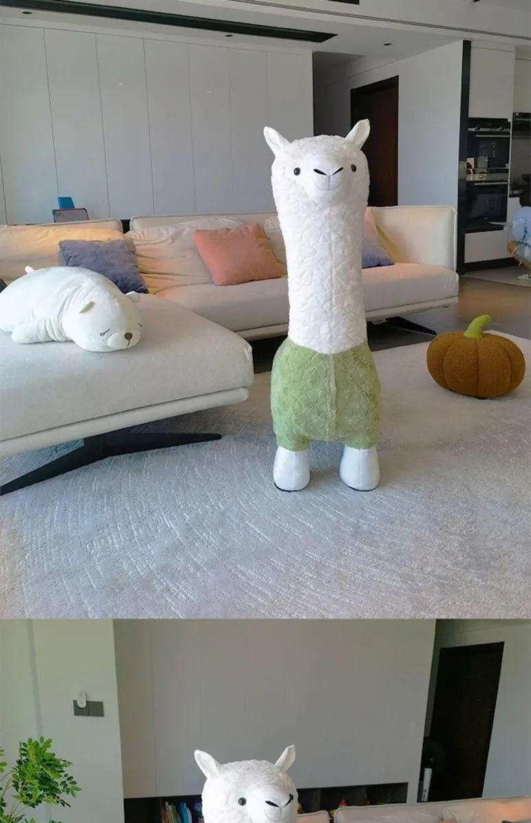 729a4057-d47c-4cd8-857e-acde21946946.jpe