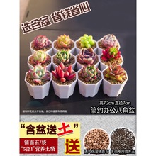 ����ֲ��M������С�Gֲ������¶���w���B�҃����� �����Ϙ�