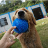 Large dogs Vocalization Toy Ball Massage ball Elastic ball tpr Pet Ball Amazon Explosive money Dog toys