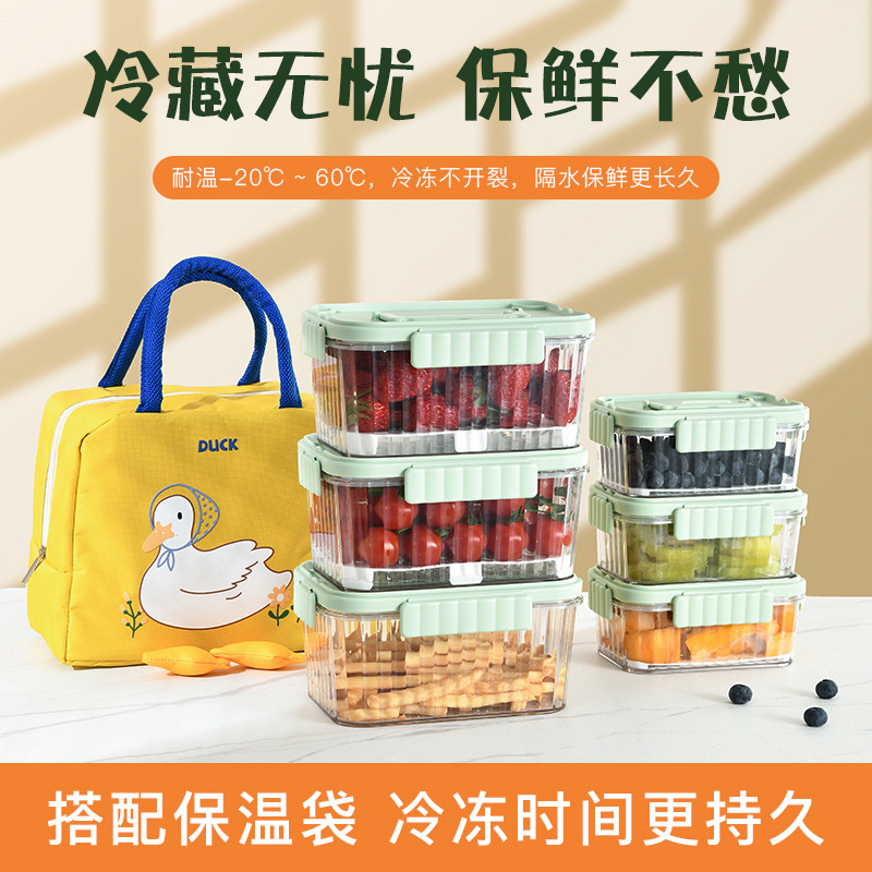 Outdoor portable fresh-keeping box baby food supplement box Ice Cube fruit lunch sealed box portable mobile transparent small refrigerator