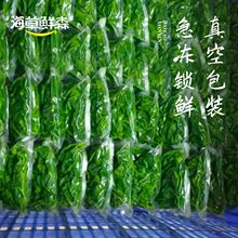 嫩桑叶芽酒店餐厅特色菜食材餐饮半成品美食原料素菜上汤桑芽菜