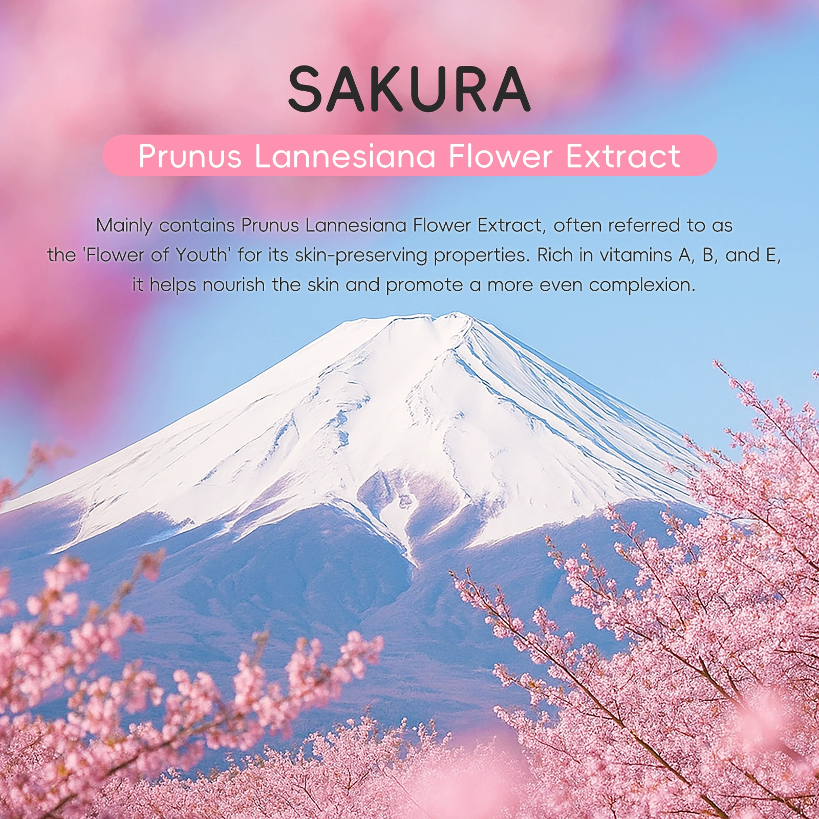 Набор образцов Sakura ухода за кожей (LAIKOU) — очищающее средство, тонер, лосьон, эссенция крем в sachets по 2 мл