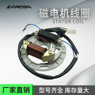 Motorcycle Magneto Coil Motorcycle Stator Motorcycle Electrical Devices FR80 AX100 2 COIL Manufacturers