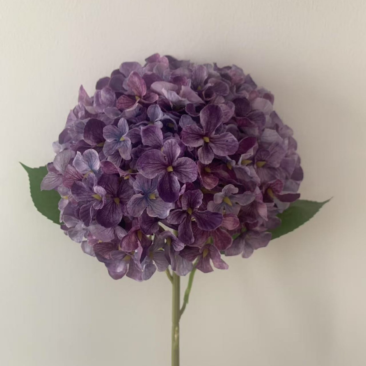 가을 보라색