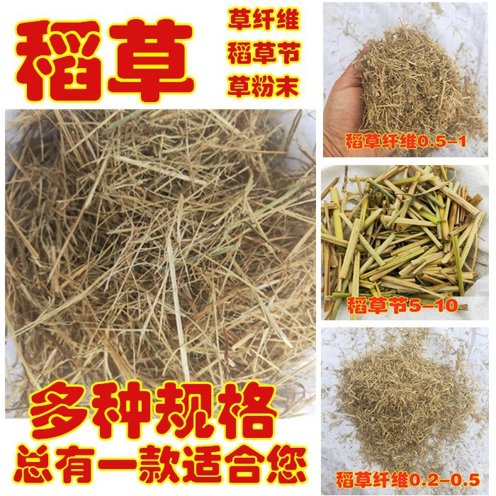 干稻草纤维墙面屋顶秸秆硅藻泥工程古建筑稻草装饰草垫节草筋