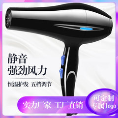 Factory Wholesale High-Power Household Rapid-Dry Hair Dryer with Cold and Hot Air, Quiet Hair Drying Tunnel, Cross-Border Best Seller