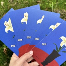 ���ӡˢ�߼��طN�����಼�y������ˇ�g�����y�����R��y��ܽ����