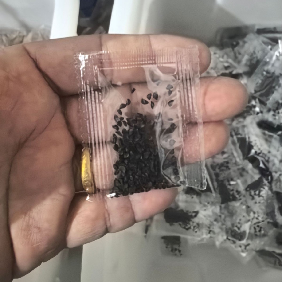 儿童学生礼品批发蔬菜花卉种子小包装代发代加工包邮