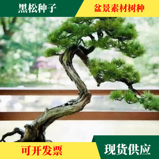 ���l���ɷN���ɘ�N���辰���ɷN�������ɘ��Ѻ��ɷN��