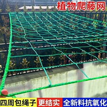 ֲ�����پW������Nֲ�z���¼��������ѻ��ܿ���S�Ͼջ��������