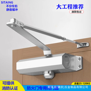 �]�T��Һ�����_�P�T���_�P�T�]�������{���Ԅ��T�����T�]�T��