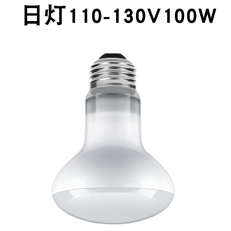 R63110v E26 주간등 100w