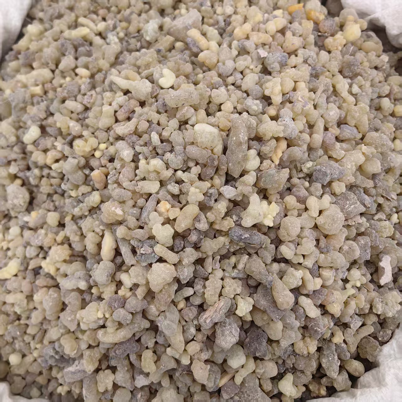 Frankincense Resin Ru Xiang Raw Herb Incense and Traditional Use 500g preparation