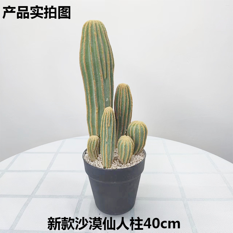 Simulación nórdica Planta verde Pilar de hadas Cactus grande piso interior sala de estar ropa tienda decoración de ventana