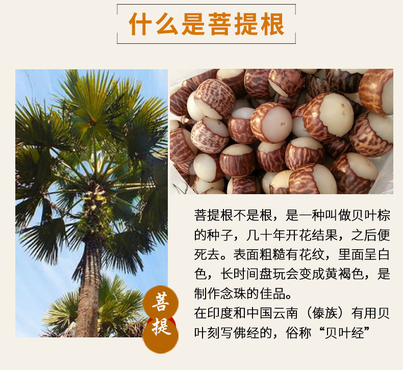 白菩提根手串_12.jpg
