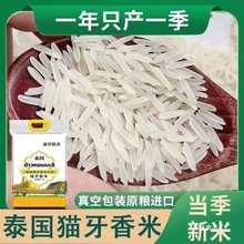 ԭ�Z̩����������؈����̩���M���L����������������հ��b10���b