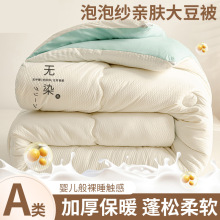 春秋被冬被加厚保暖防寒大豆被子四季单双人被棉被芯被褥太空被