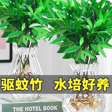 ������ˮ��ֲ���҃�ˮ�B�Gֲ���������k���������ļ�����ݺ��B