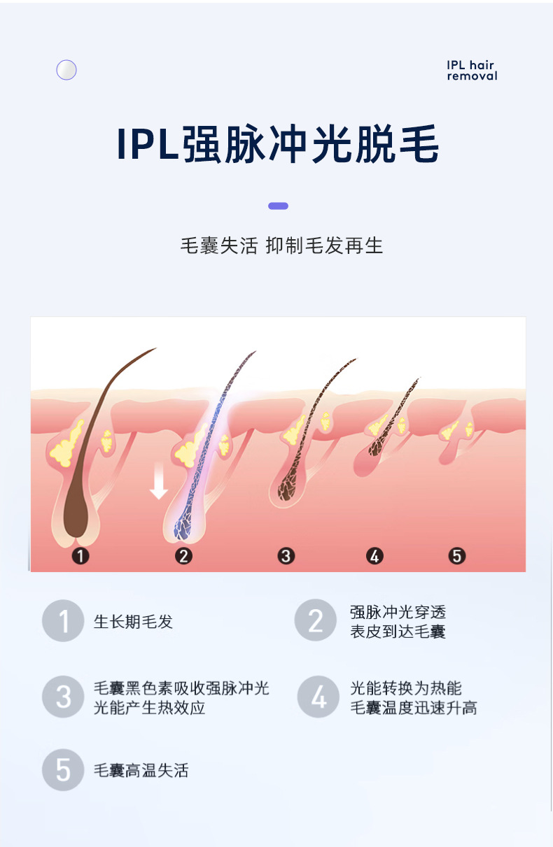 T69详情_04.jpg