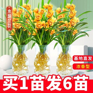 �m����ȫ�����ļ�ˮ���m�������͝M���h���҃ȾGֲ���������F��ާ