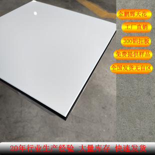��߅����X�۰�300&times;300�N���l���g�͏dȫ�������픲��ϼ��ɵ��