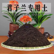 �����m�������m�I�B�������B���Nֲ��������ͨ�÷N������
