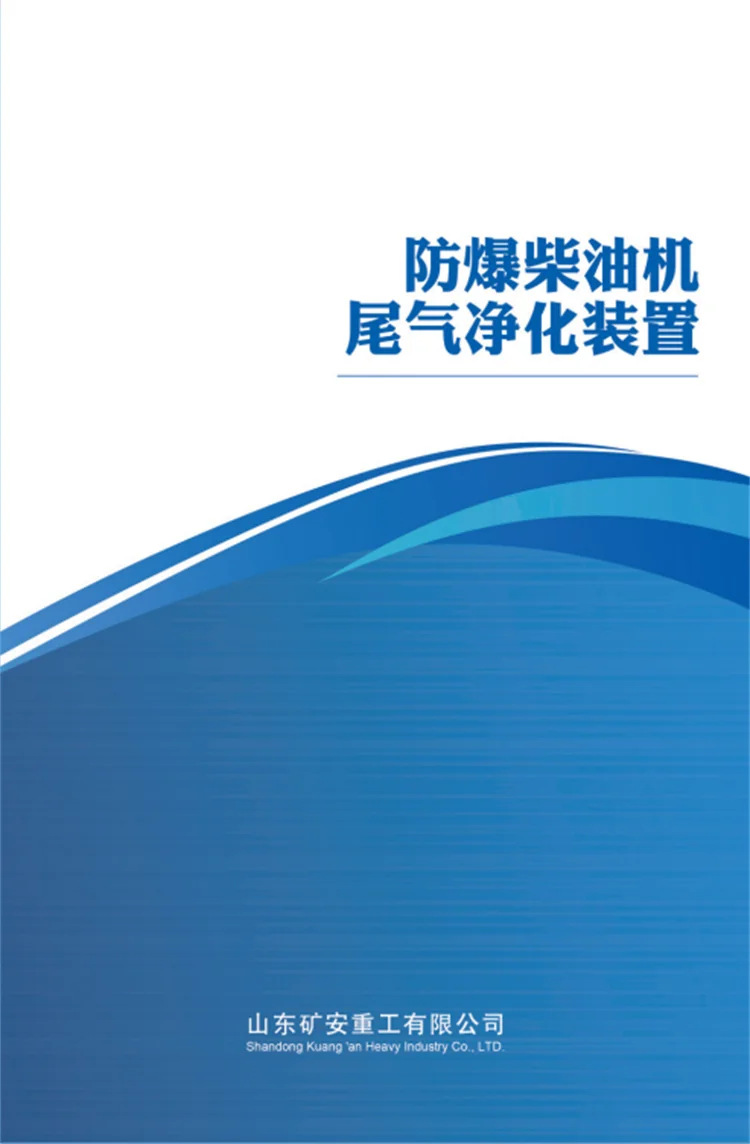 尾气净化装置 (1)