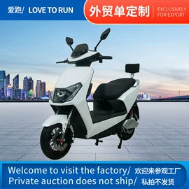 其他电动车;其他摩托车;两轮摩托车