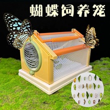 �����^�������Ӽ�ɷ����^����L��ͯ�ɼ��̾����x�W���׃��@��