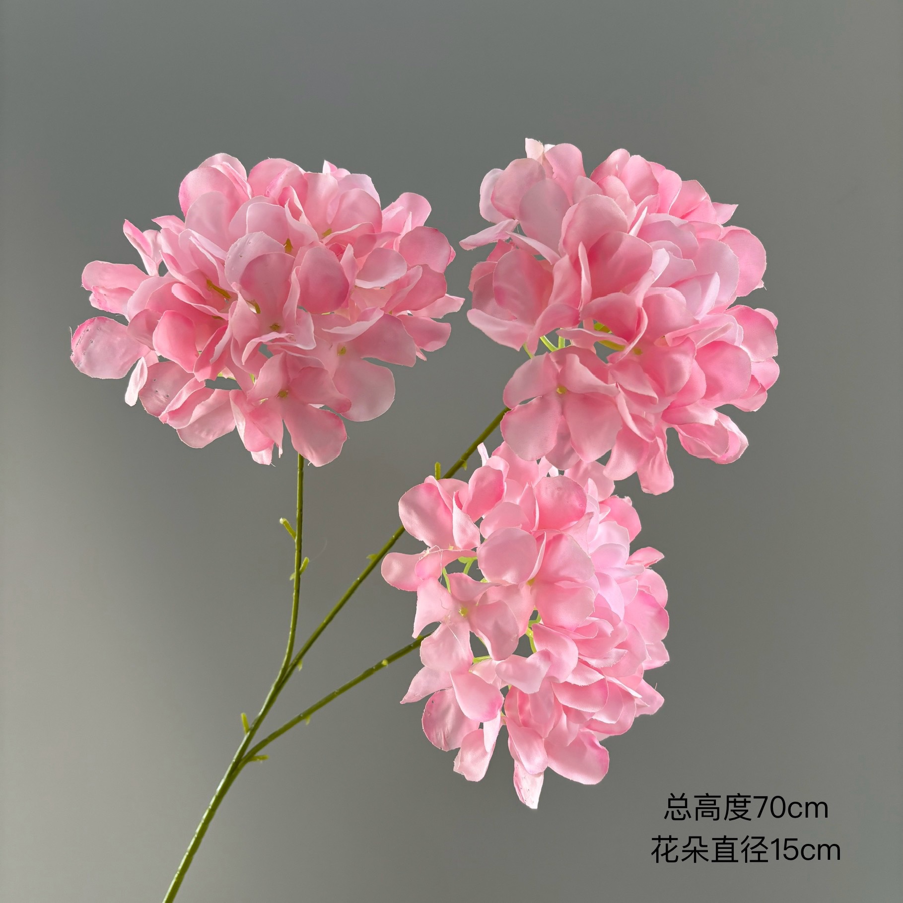 분홍색