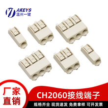 CH2060�NƬPCB����ʽ�Ӿ�����LED�����������1P2P3P늾��B����
