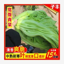 ˷Nͺ߮anݲ~＾Ĵɫ˷N