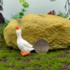 Yangtian Xiaobai Goose