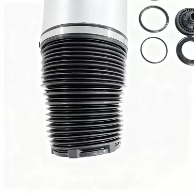Half Assembly Repair Kit 37106869029 – damping system