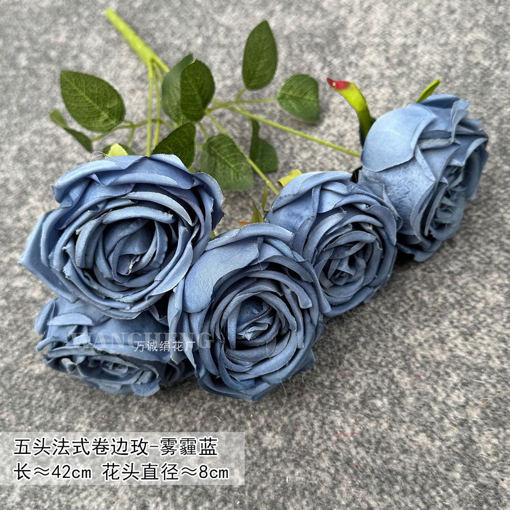 Five-headed french rose-haze blue