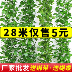 模擬籐ポトスの葉装飾偽の葉緑のつるプラスチック花つる水道管ブロック空調緑の葉の花