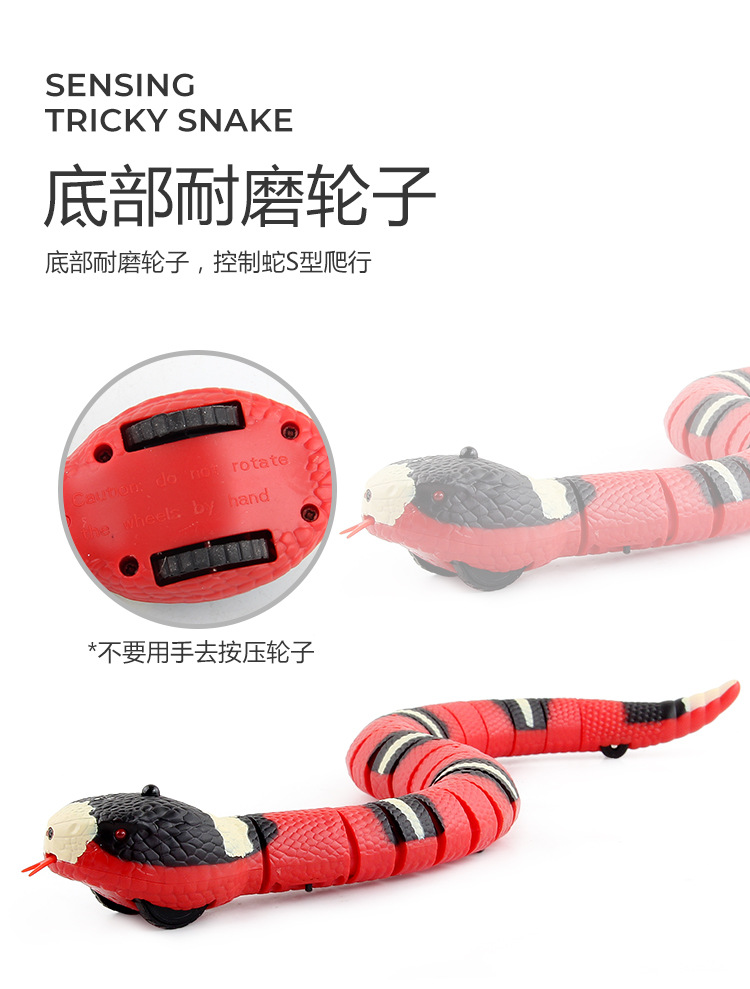 9909S_05.jpg