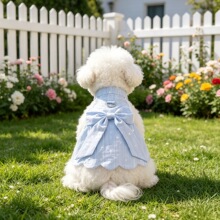 �����·��ļ�͸�ⱡ�������Y��������ȹС��Ȯ�������������l