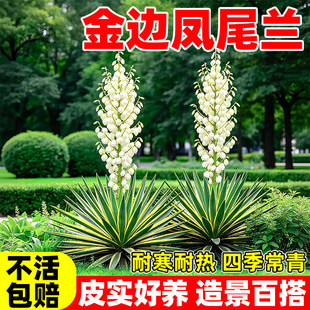 ��߅�Pβ�m�����m���Rֲ������ͥԺ���@�����������ļ�����Gֲ��