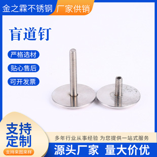 304 Stainless Steel Blind Road Studs, Pineapple Pattern Anti-Slip Studs for Accessible Paths, Guide Studs, Stop Studs by Jinzhilin