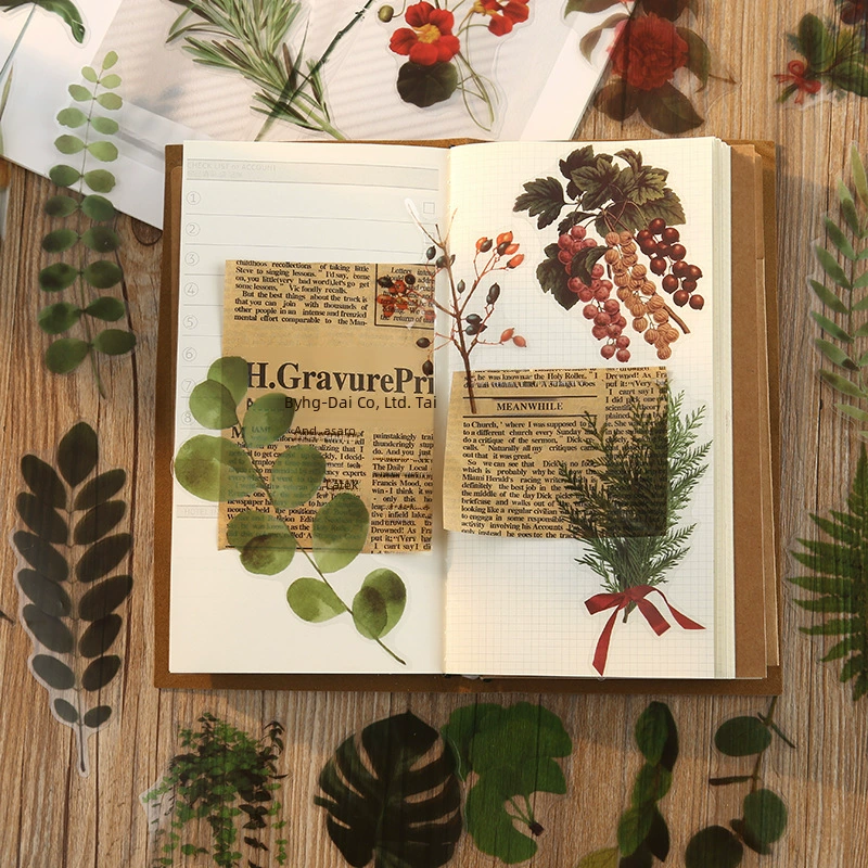 Natural photo collection window series PET handbook post paper bag creative plant DIY decorative post 12 models